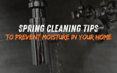 Spring Cleaning Tips to Prevent Moisture and Mold Growth at Home