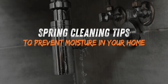 Spring Cleaning Tips to Prevent Moisture and Mold Growth at Home