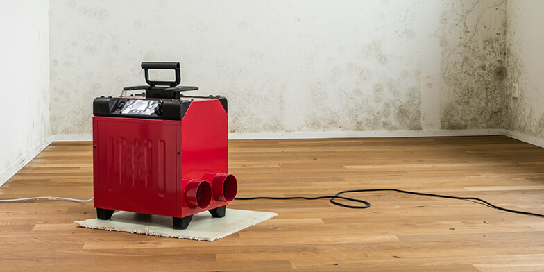 dehumidifier