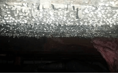 April Mold Damage Prevention Tips: Avoid Excessive Water