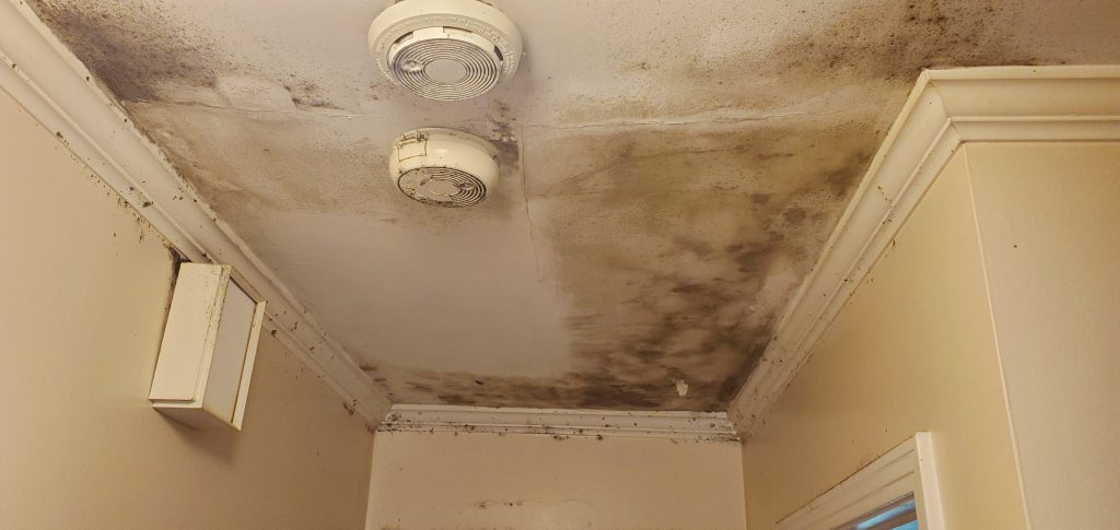 Mold growth on a hallway ceiling from a water leak