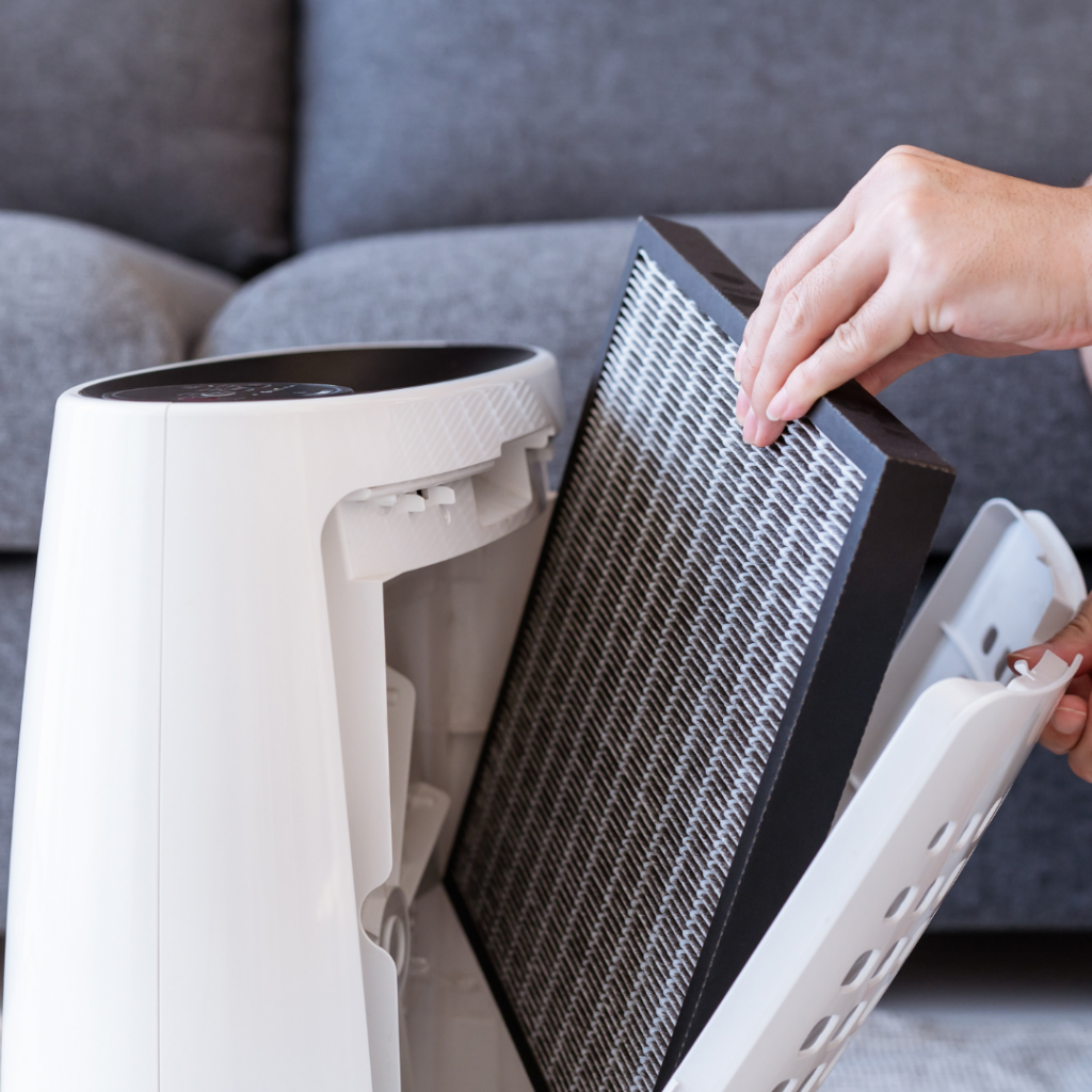 Replace your air purifier filters every six to 12 months