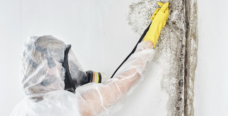 mold & water damage restoration Nashville, Tennessee