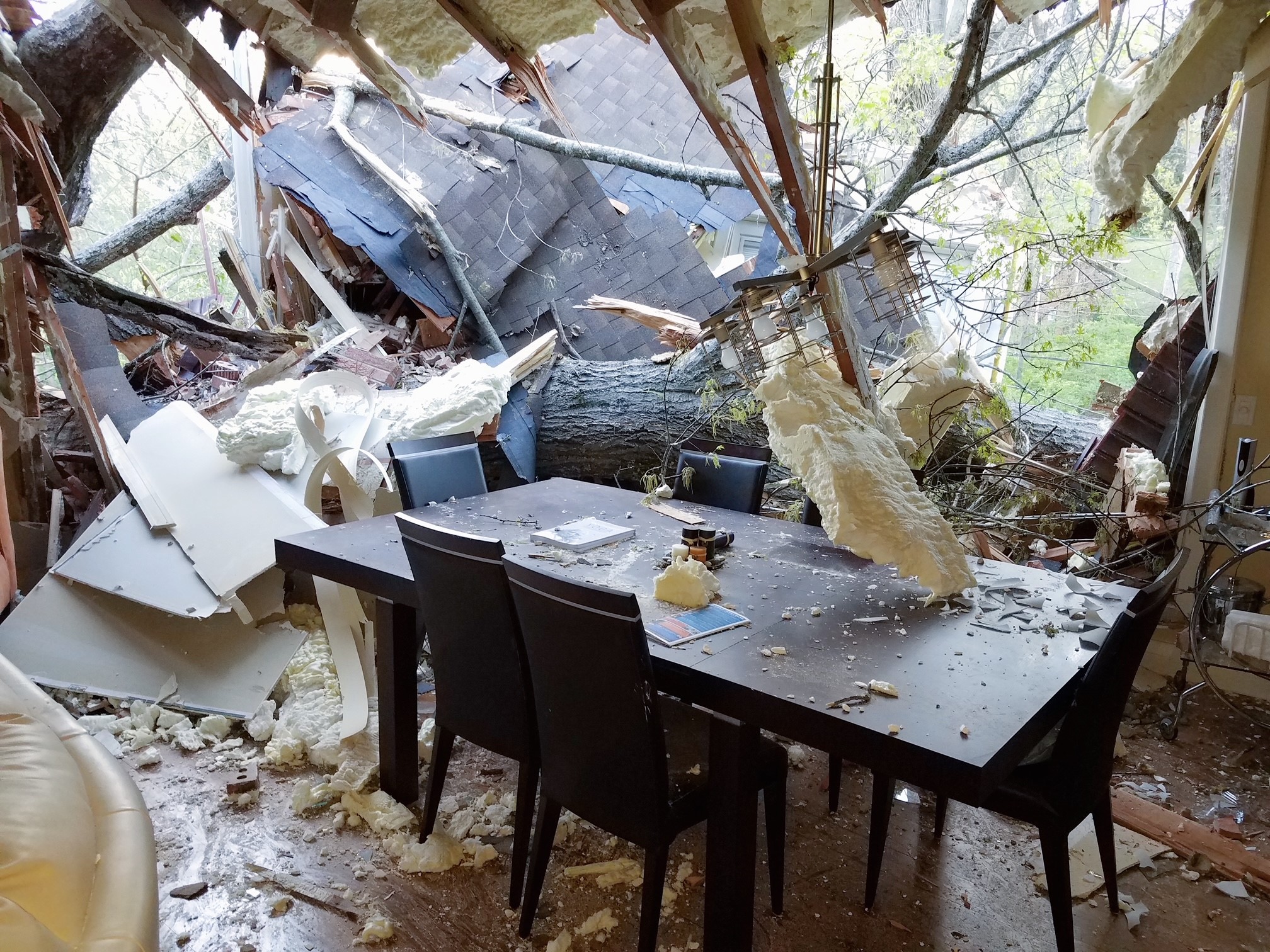 Interior damage after large tree fell into house