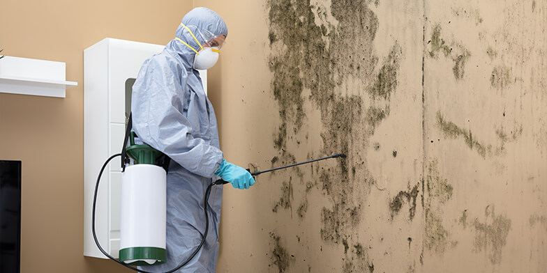 A person in protective gear sprays mold on a wall during mold remediation in Nashville, TN.