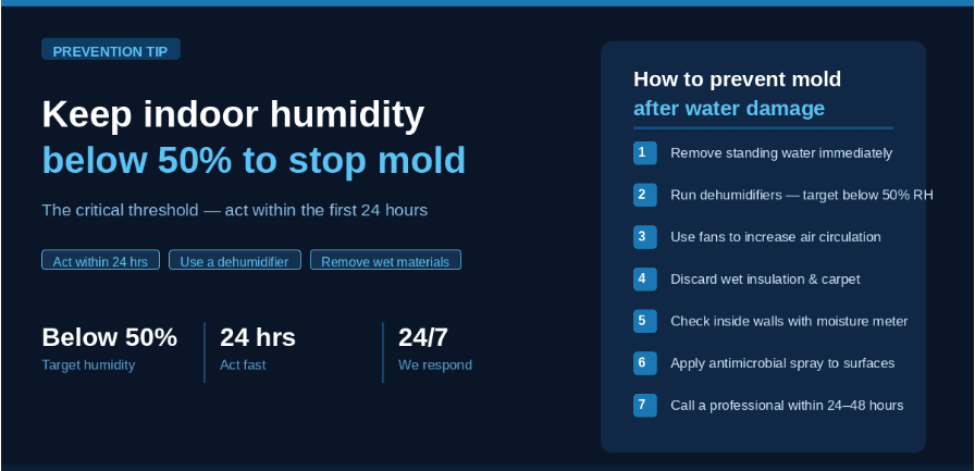 How to Prevent Mold After Water Damage