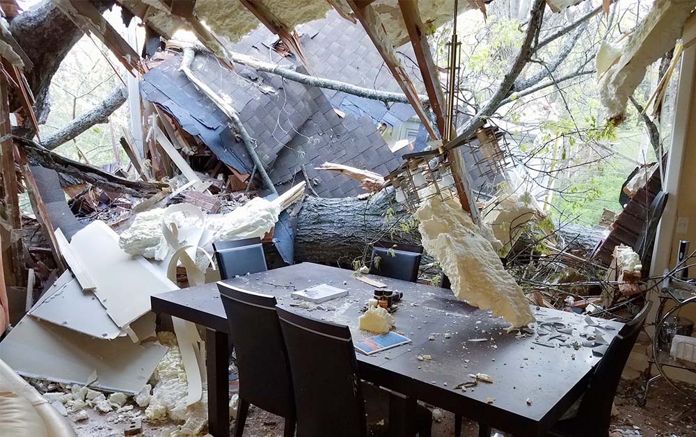 A damaged dining area with a large tree branch inside, debris scattered on the floor.
